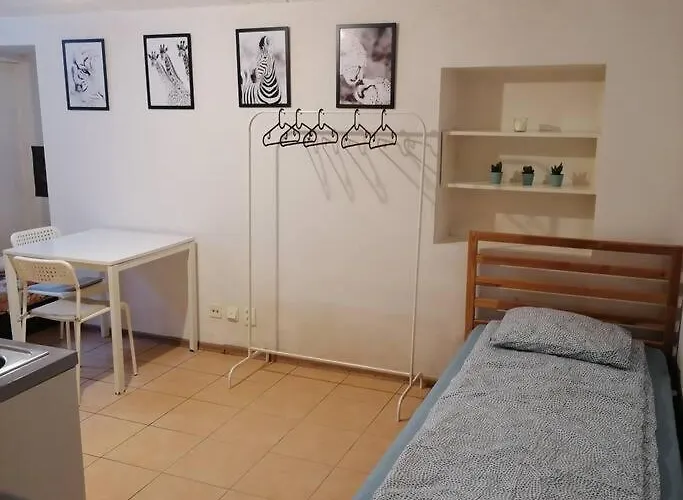 Basement In The Center!! Appartement